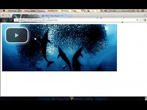 Video.js Jump Start