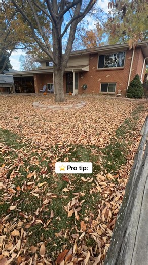 Grow a greener lawn that’s better for pets, people, and planet with Sunday. | Sunday