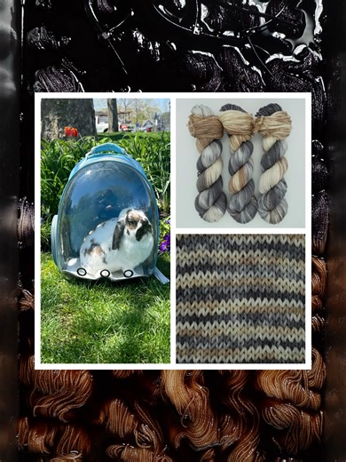 It's Russel, the rabbit!