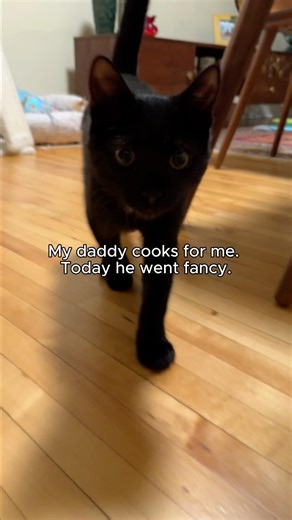 Daddy went fancy tonight, so Pishi had an upgraded menu. 🍲