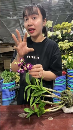 (Flower Face Reference) Hotline: 090.317.7978 ☎️☎️