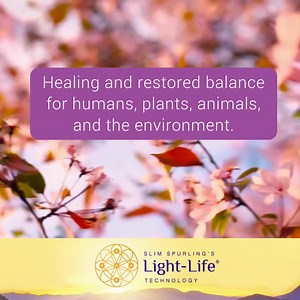 Researcher and inventor Slim Spurling created Light-Life ® Tools to...