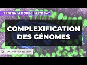 La complexification des génomes - Terminale Spécialité SVT