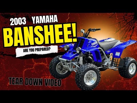 2003 Yamaha Banshee Teardown – Everything BUT the Engine! | DirtBikeRepair