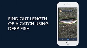 6.3K views · 44 reactions | Computer Vision scan catched fish The...