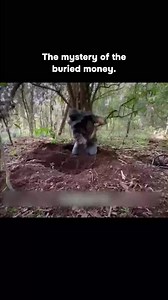 The mysterious of the buried money #highlightseveryone #highlightseveryonefollowers2024 #followerseveryone #fbreels #monetization #reels #follower #everyone #viralvideo #highlights | Mystery Treasure 2.0