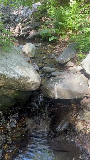 Getting closer to the F-86 crash site on Mt Lemmon. #boneyardsafari #aviationsafari