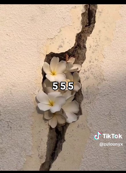 Understanding 555: Embrace Personal Transformation