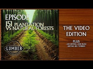 151- Plantations vs Natural Forests