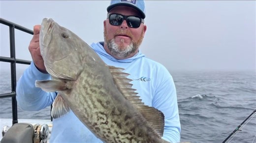 Good day fishing report