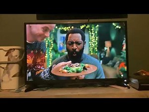 Channel 4+1 Adverts | Wed 12|11|2025