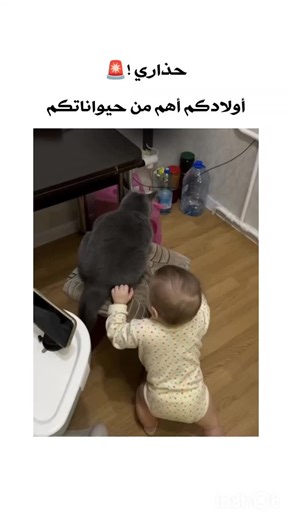 3ich_tchouf on Instagram