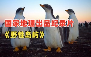 【国家地理出品】超高分顶级地理纪录片！收藏起来直接看！《野性岛屿》中英双语