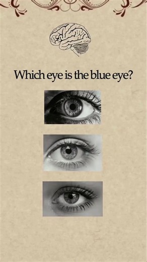 Which eye is the blue eye🔵? | eyes