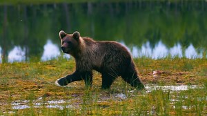 Earth 200,000 years ago - a different planet