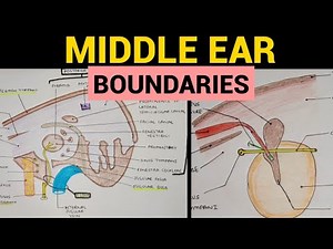 Middle Ear Anatomy - 2 | Boundaries