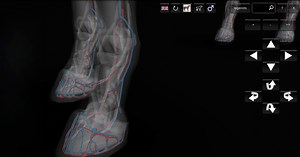 Download and run 3D Horse Anatomy Software on PC & Mac (Emulator)