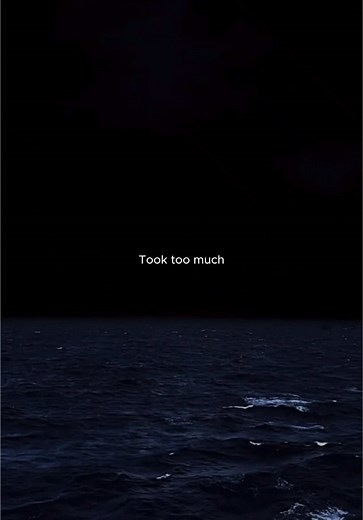 Selena Gomez - Wolves (Slowed Down Version)