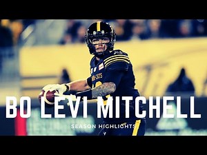 Bo Levi Mitchell || CFL Leading Passer || 2024 Season Highlights