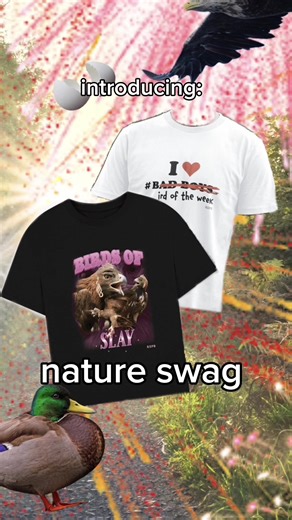 Unique Bird Merchandise for Nature Lovers