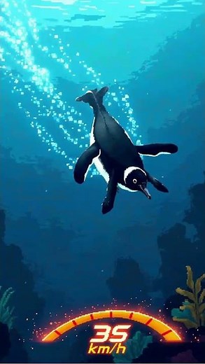 Fakta Menarik Tentang Pinguin: Lebih dari Sekadar Burung Laut!