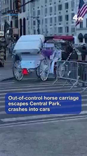 NBC New York | Cell phone video captured a startling sight in Manhattan last week when a runaway horse carriage raced into traffic. The video shared by... | Instagram