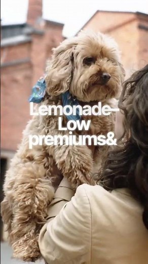 Best Pet Insurance 2025 🐶🐱 | Dog Insurance, Cat Insurance & Top Plans Compared!