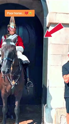King's Guard Horse Collapses: A Heartbreaking Moment