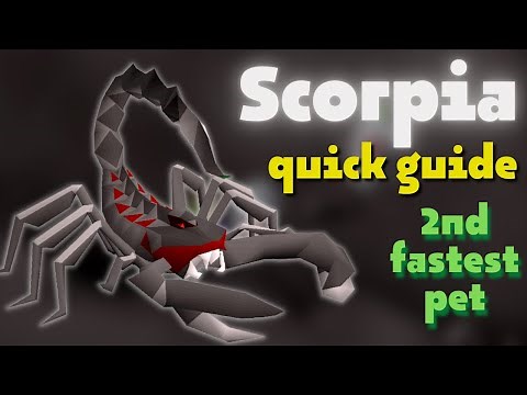 Scorpia Quick Solo & Duo Guide | OSRS