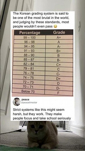 The most brutal grading system in the world