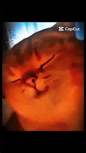 DAY 1 MERA VIRAL VIDEO | #gaming #shorts #foryou #allgamersshorts