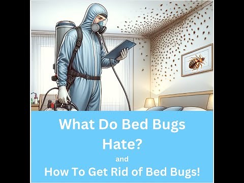 What Do Bed Bugs Hate - Scents To Repel Bed Bugs and How To Get Rid Of A Bed Bug Infestation!