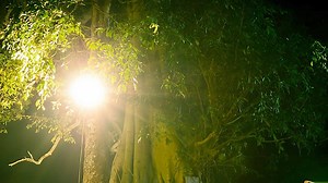 9 Best Spotlights for Hunting