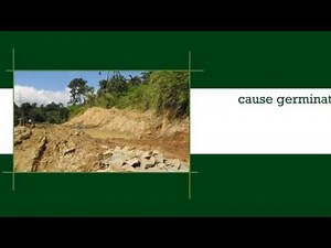 The Causes and Effects of Soil Erosion