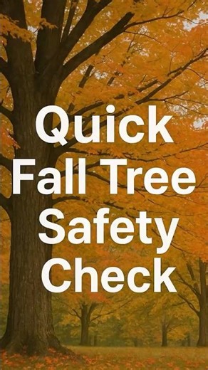 5 Quick Fall Tree Safety Checks Before Winter | Central Valley Tree & Arborist Services