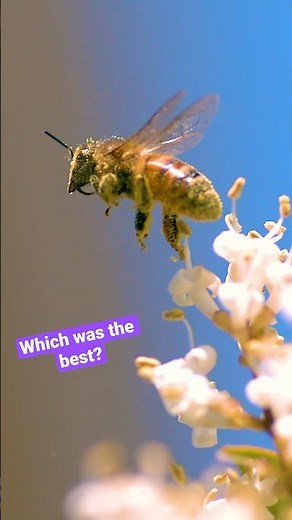 Animals in super slow motion! 🎥