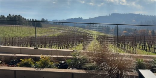 New Willamette Valley winery showcases wine country at its most scenic — views, vintages and more