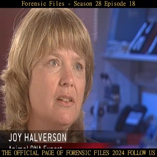 2.9K views · 48 reactions | Forensic Files 2024 on Reels | Facebook