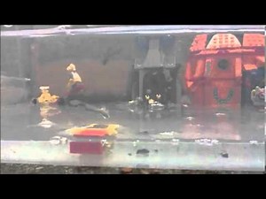 The Great Bikini Bottom Flood