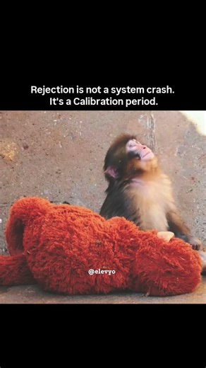 Rejection is not a system crash ✨ #Mindset #Rejection #elevyo #Success #GlobalGrowth #PunchTheMonkey