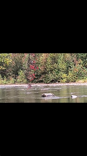 West Virginia Rivers. | Hatfield Mccoy ATV Adventures