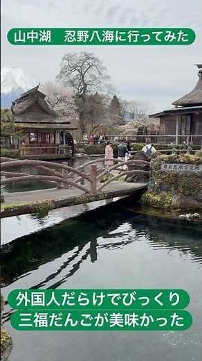 山中湖 忍野八海に行ってみた#三福だんご#富士山