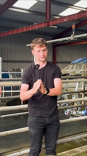Grasstec Group on TikTok