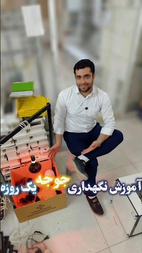 نگهداری جوجه در یک دقیقه