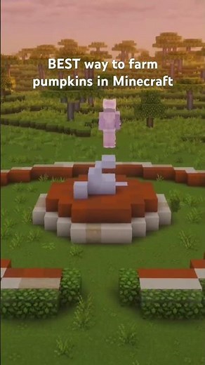 Best pumpkin farm in Minecraft is a pumpkin pie 🥧 #minecraft #minecraftbuilding #minecraftsurvival