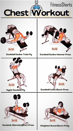 Chest workout 👇🔥💪 #chestworkout #chestday | EFitnessHelp