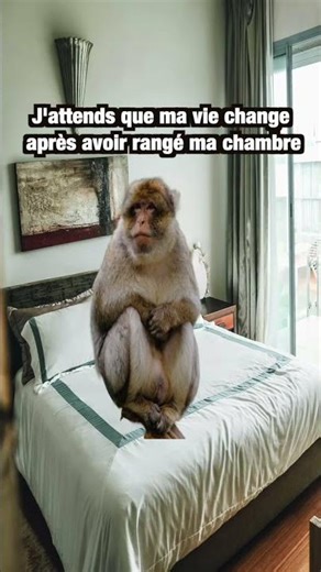 POV : j’ai rangé ma chambre…j’attends que ma vie change 😭