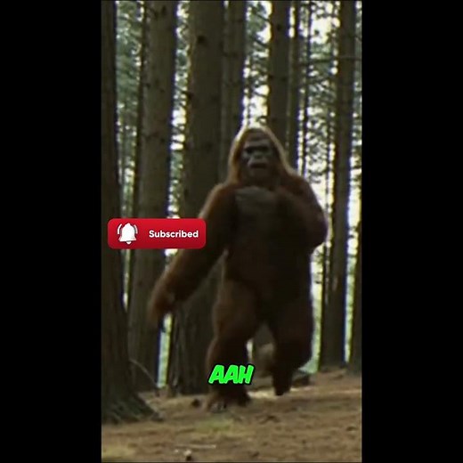 SHOCKING: Newly Found 1970s Bigfoot 8mm Film—Real or Hoax?