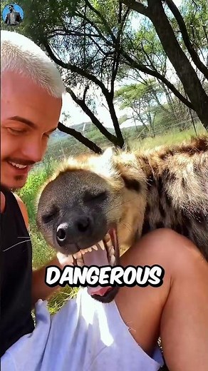 Why Do Africans Keep Hyenas As Pets?