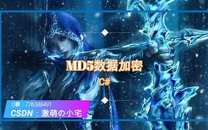 【C#】第二十九讲 MD5数据加密